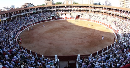 Dos toros y sus polémicos nombres dejan sin corridas a una ciudad española