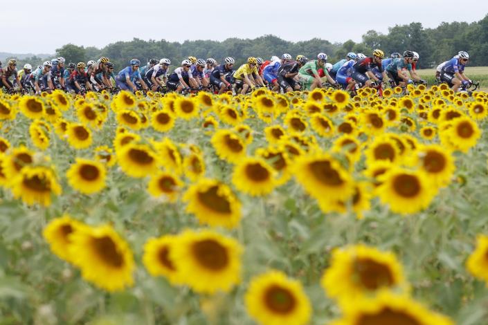 Tour de Francia 2024 finalizará con una crono