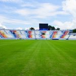 Newtview News