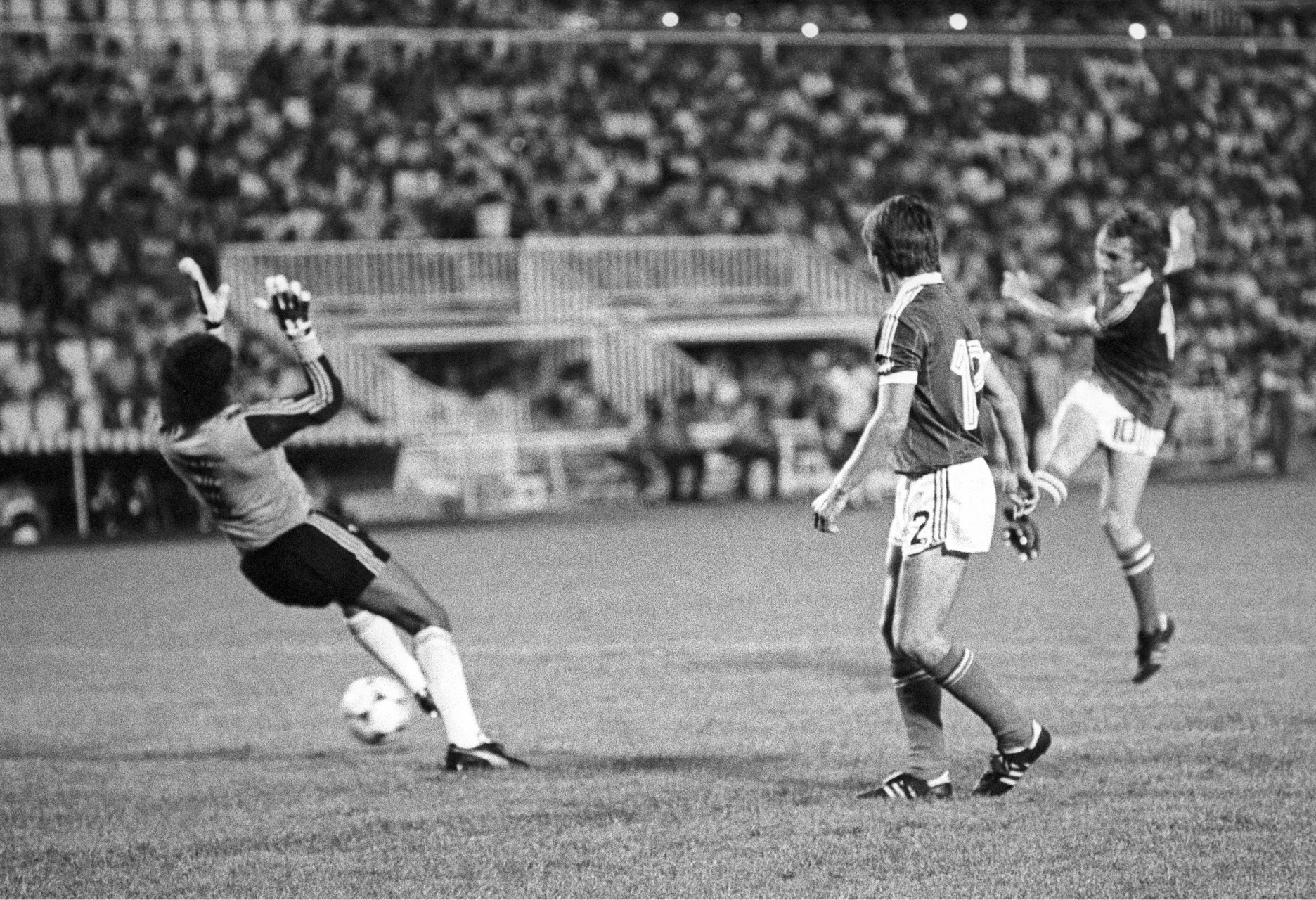 Netview
